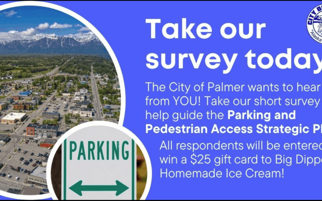 Palmer Parking and Pedestrian Survey