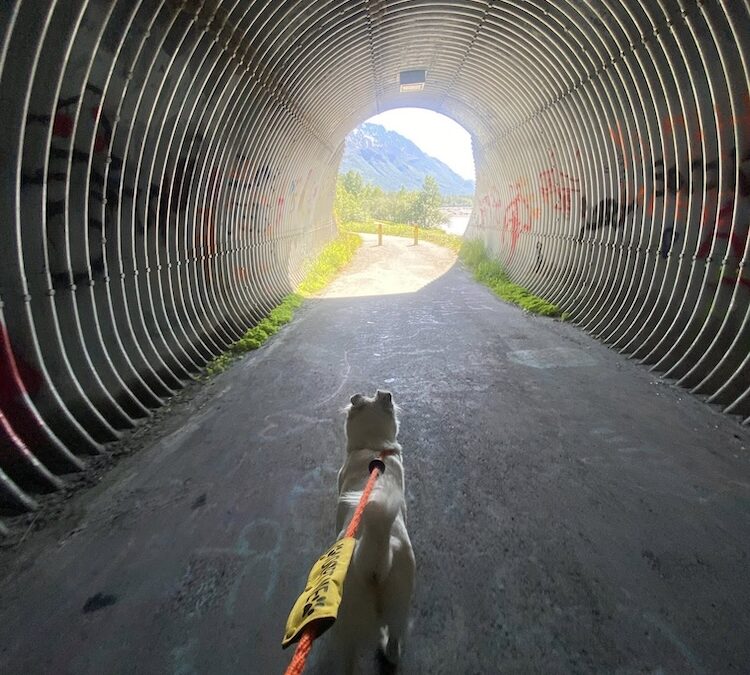 Page 2 Fri. Sept. 12- Miles & Mutts and Weekend Fun