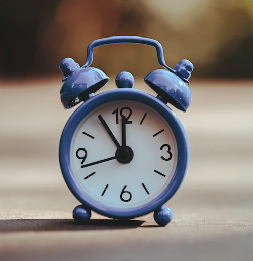 This week on Big Cabbage Radio