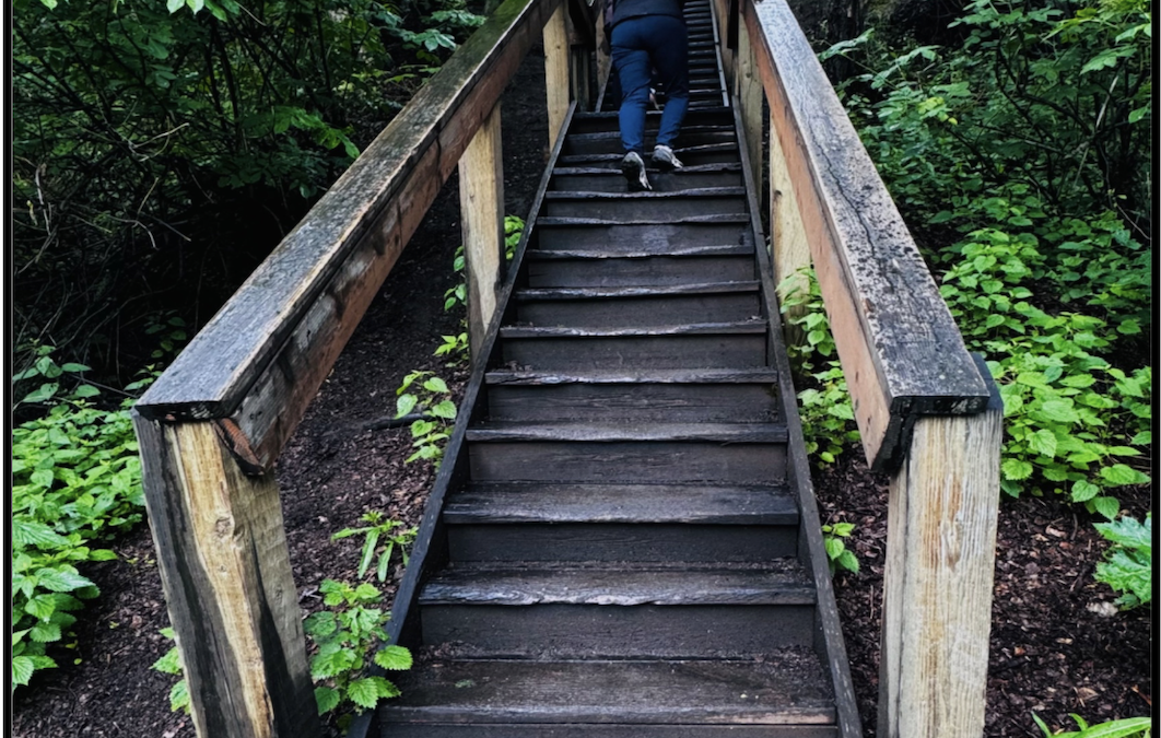 Page 2 Fri. July 10: West Butte Trail – Loved to Death