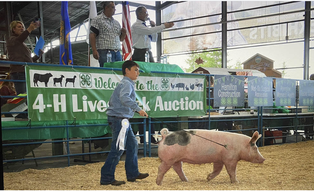 Page 2 Wed. Aug. 5: Matanuska Experiment Farm and 4-H